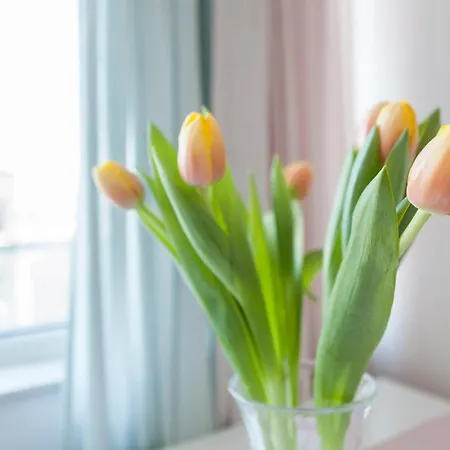 Tony's Sunny Rooftop By Flat Mаnager *